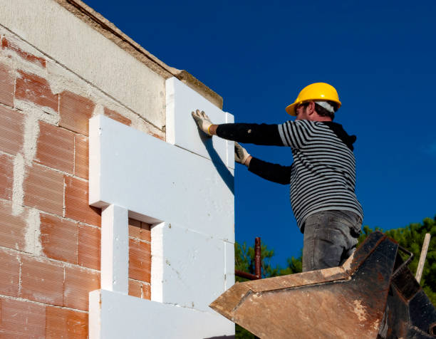 Best Affordable Insulation Services  in Peosta, IA