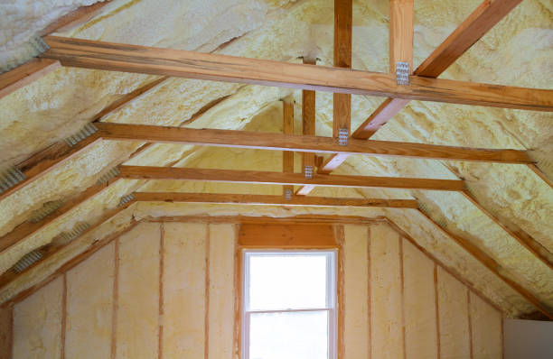 Best Spray Foam Insulation  in Peosta, IA