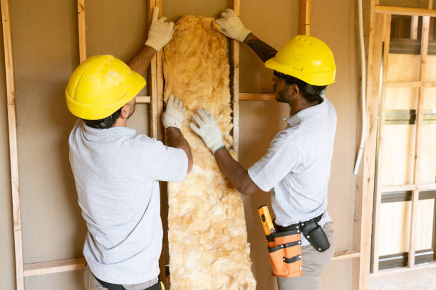 Insulation Repair Services in Peosta, IA