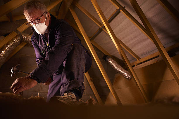 Best Insulation Repair Services  in Peosta, IA