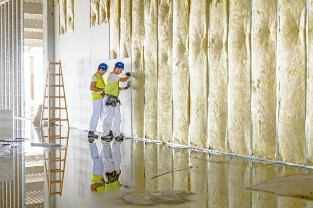 Best Commercial Insulation Contractor  in Peosta, IA
